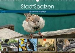 StadtSpatzen (Wandkalender 2021 DIN A3 quer)