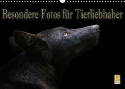 Besondere Fotos für Tierliebhaber (Wandkalender 2021 DIN A3 quer)