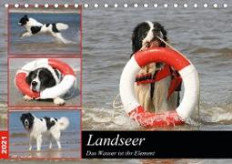 Landseer - Das Wasser ist ihr Element (Tischkalender 2021 DIN A5 quer)