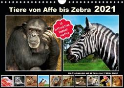 Tiere von Affe bis Zebra 2021 (Wandkalender 2021 DIN A4 quer)