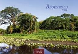 Regenwald 2021 - Format L