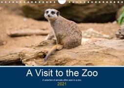 A Visit to the Zoo (Wall Calendar 2021 DIN A4 Landscape)