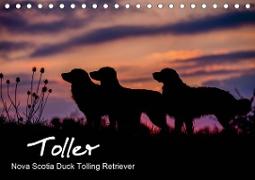 Toller - Nova Scotia Duck Tolling Retriever (Tischkalender 2021 DIN A5 quer)