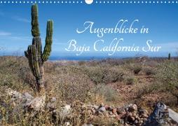 Augenblicke in Baja California Sur (Wandkalender 2021 DIN A3 quer)