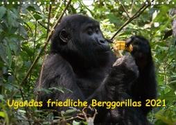 Ugandas friedliche Berggorillas (Wandkalender 2021 DIN A4 quer)