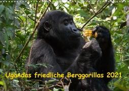 Ugandas friedliche Berggorillas (Wandkalender 2021 DIN A3 quer)