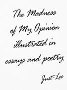The Madness of My Opinion Illustrated In Essays and Poetry