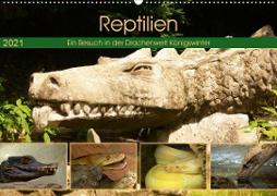 Reptilien. Ein Besuch in der Drachenwelt Königswinter (Wandkalender 2021 DIN A2 quer)