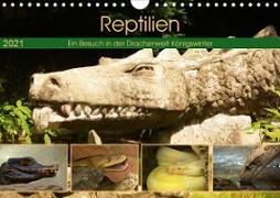 Reptilien. Ein Besuch in der Drachenwelt Königswinter (Wandkalender 2021 DIN A4 quer)