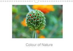 Colour of Nature (Wall Calendar 2021 DIN A4 Landscape)