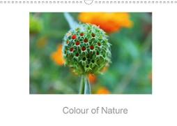 Colour of Nature (Wall Calendar 2021 DIN A3 Landscape)