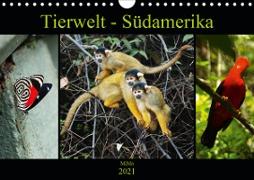 Tierwelt - Südamerika (Wandkalender 2021 DIN A4 quer)