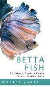 Betta Fish