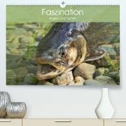 Faszination Angeln und Fischen (Premium, hochwertiger DIN A2 Wandkalender 2021, Kunstdruck in Hochglanz)