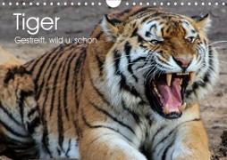 Tiger. Gestreift, wild u. schön (Wandkalender 2021 DIN A4 quer)