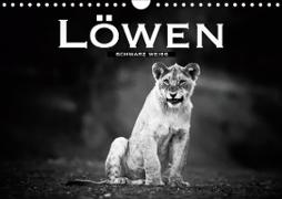 Löwen schwarz weiß (Wandkalender 2021 DIN A4 quer)