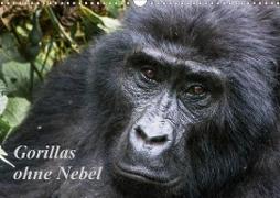 Gorillas ohne Nebel (Wandkalender 2021 DIN A3 quer)