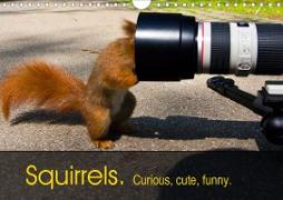 Squirrels. Curious, cute, funny. (Wall Calendar 2021 DIN A4 Landscape)