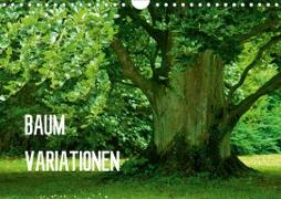 Baum-Variationen (Wandkalender 2021 DIN A4 quer)