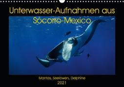 Unterwasser-Aufnahmen aus Socorro-Mexico (Wandkalender 2021 DIN A3 quer)
