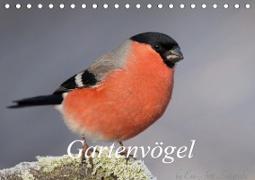 Vögel aus dem Garten (Tischkalender 2021 DIN A5 quer)