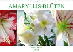 Amaryllis-Blüten (Wandkalender 2021 DIN A3 quer)
