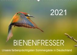 Bienenfresser, unsere farbenprächtigsten Sommergäste in Deutschland (Wandkalender 2021 DIN A2 quer)