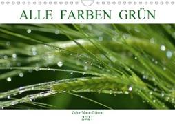 Alle Farben Grün (Wandkalender 2021 DIN A4 quer)