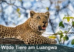 Wilde Tiere am Luangwa (Wandkalender 2021 DIN A2 quer)