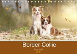 Border Collie - Bunt und clever! (Tischkalender 2021 DIN A5 quer)