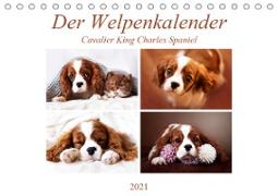 Der Welpenkalender - Cavalier King Charles Spaniel (Tischkalender 2021 DIN A5 quer)