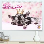 Bullys - Französische Bulldoggen 2021 (Premium, hochwertiger DIN A2 Wandkalender 2021, Kunstdruck in Hochglanz)