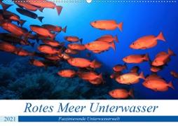 Rotes Meer Unterwasser (Wandkalender 2021 DIN A2 quer)