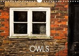 Owls (Wall Calendar 2021 DIN A4 Landscape)