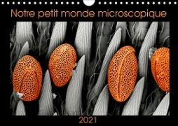 Notre petit monde microscopique (Calendrier mural 2021 DIN A4 horizontal)