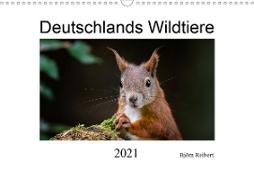 Deutschlands Wildtiere (Wandkalender 2021 DIN A3 quer)