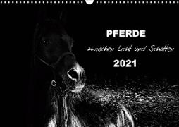 Pferde zwischen Licht und Schatten (Wandkalender 2021 DIN A3 quer)