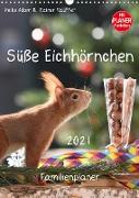 Süße Eichhörnchen (Wandkalender 2021 DIN A3 hoch)