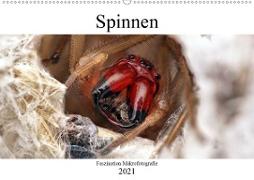Faszination Makrofotografie: Spinnen (Wandkalender 2021 DIN A2 quer)