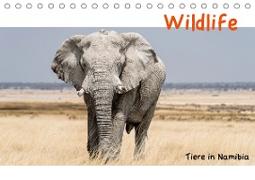 Wildlife - Tiere in Namibia (Tischkalender 2021 DIN A5 quer)