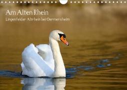 Am Alten Rhein - Lingenfelder Altrhein bei Germersheim (Wandkalender 2021 DIN A4 quer)