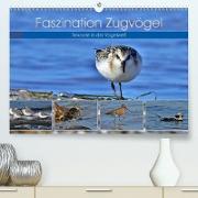 Faszination Zugvögel - Rekorde in der Vogelwelt (Premium, hochwertiger DIN A2 Wandkalender 2021, Kunstdruck in Hochglanz)