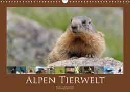 Alpen Tierwelt (Wandkalender 2021 DIN A3 quer)