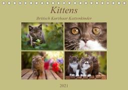 Kittens - Britisch Kurzhaar Katzenkinder (Tischkalender 2021 DIN A5 quer)