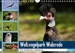 Weltvogelpark Walsrode - Die Vielfalt der Vogelarten (Wandkalender 2021 DIN A4 quer)