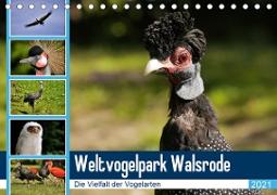 Weltvogelpark Walsrode - Die Vielfalt der Vogelarten (Tischkalender 2021 DIN A5 quer)