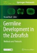 Germline Development in the Zebrafish