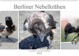 Berliner Nebelkrähen (Wandkalender 2021 DIN A2 quer)