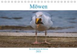 Das wilde Leben der Möwen (Tischkalender 2021 DIN A5 quer)
