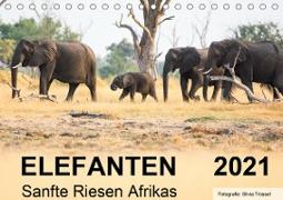 Elefanten - Sanfte Riesen Afrikas (Tischkalender 2021 DIN A5 quer)